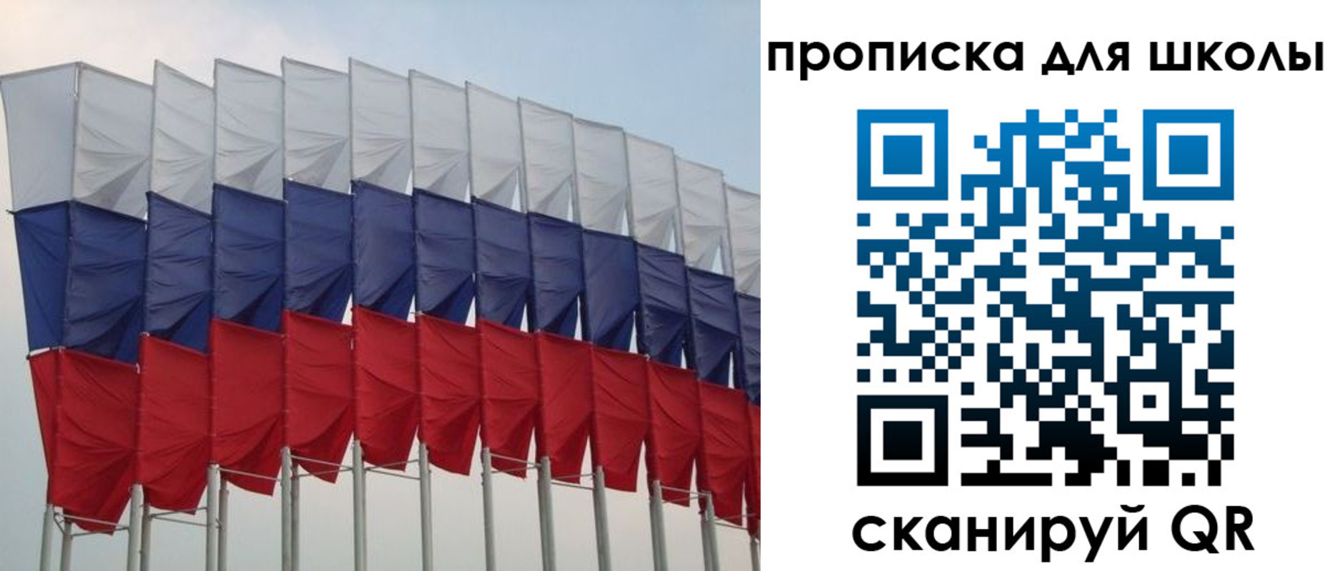 прописка для работы в Болотном
